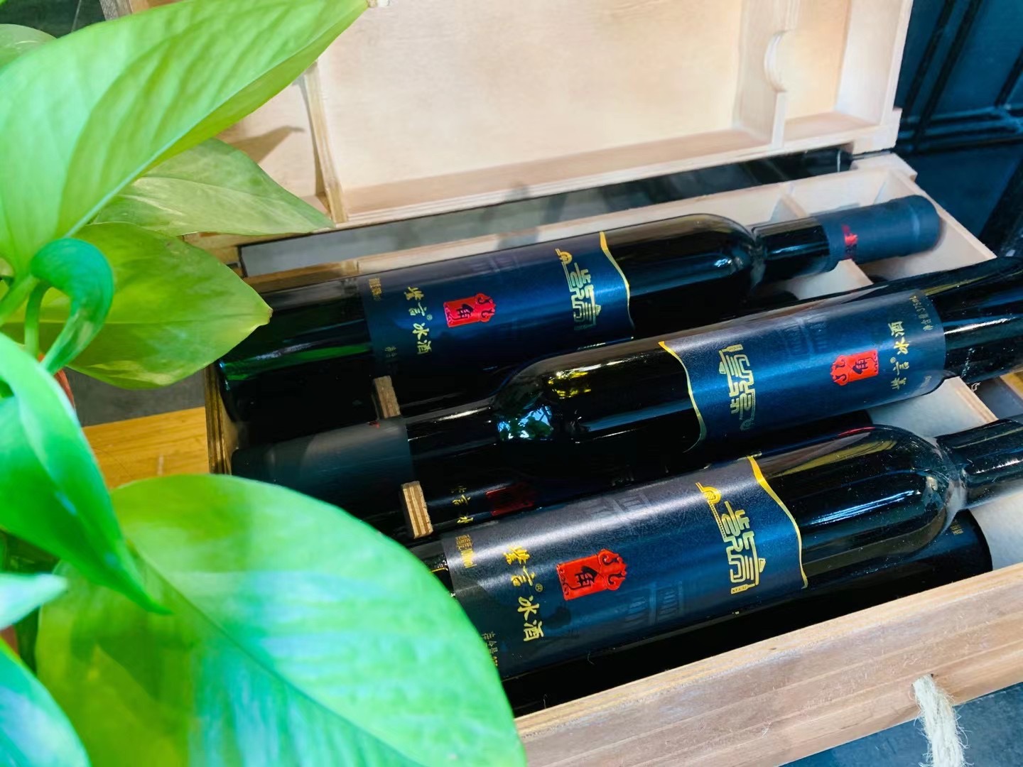 1749808224190610.jpg 微信圖片_202407310919591.jpg